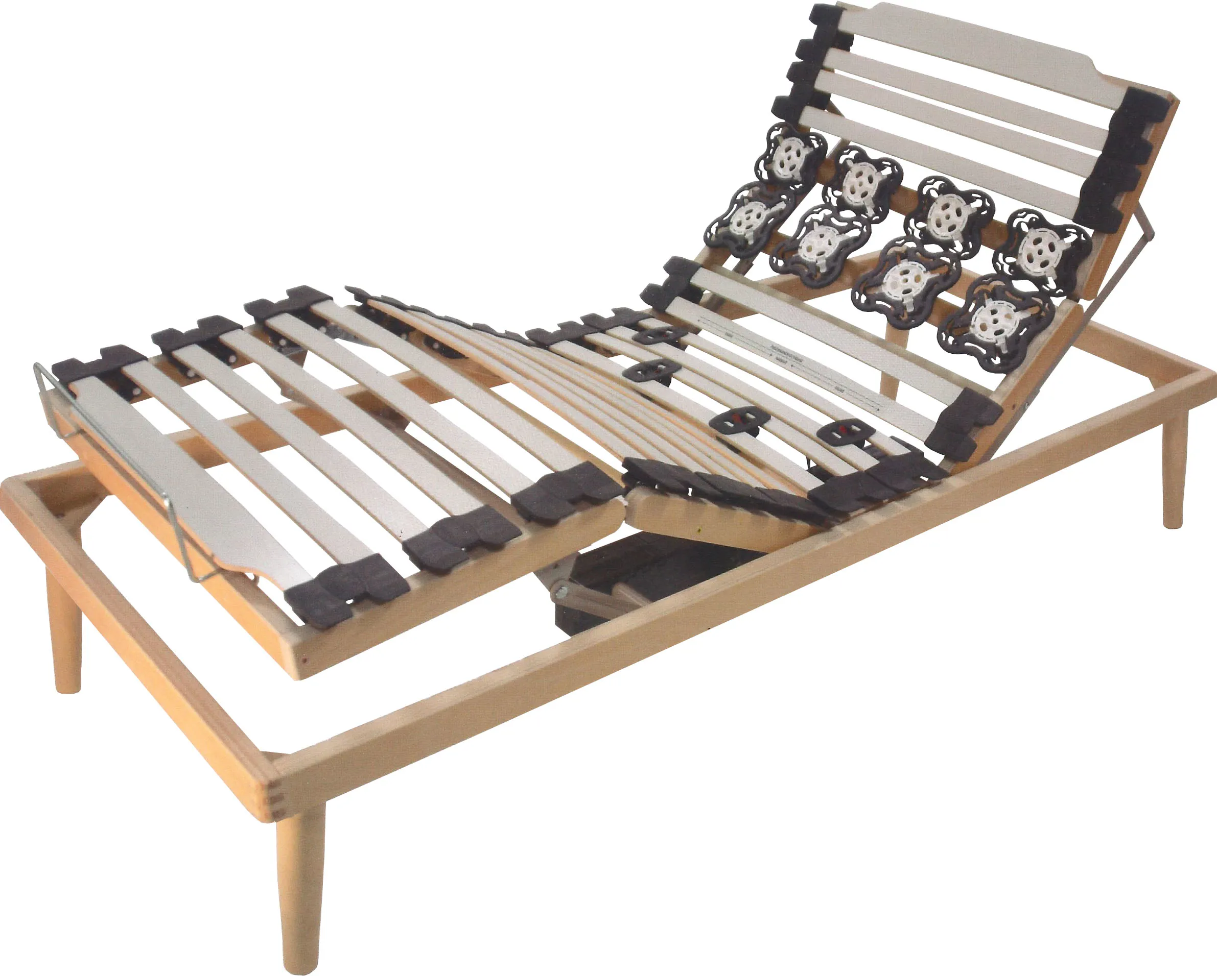 Cervinia doghe motorizzate a Verona